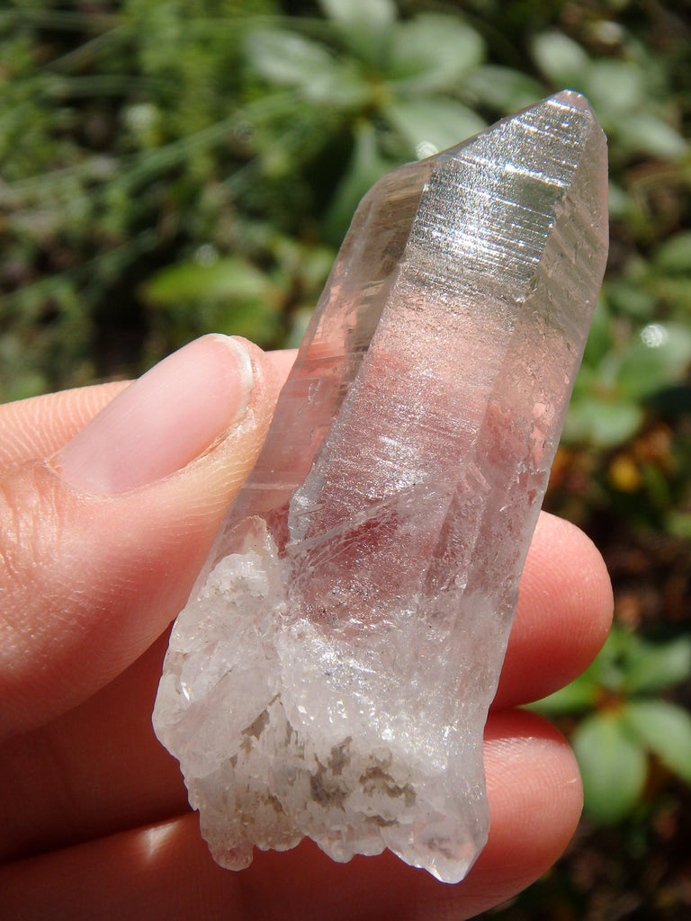 High Vibe Brazilian Lemurian Quartz Point With Self Healing - Earth Family Crystals