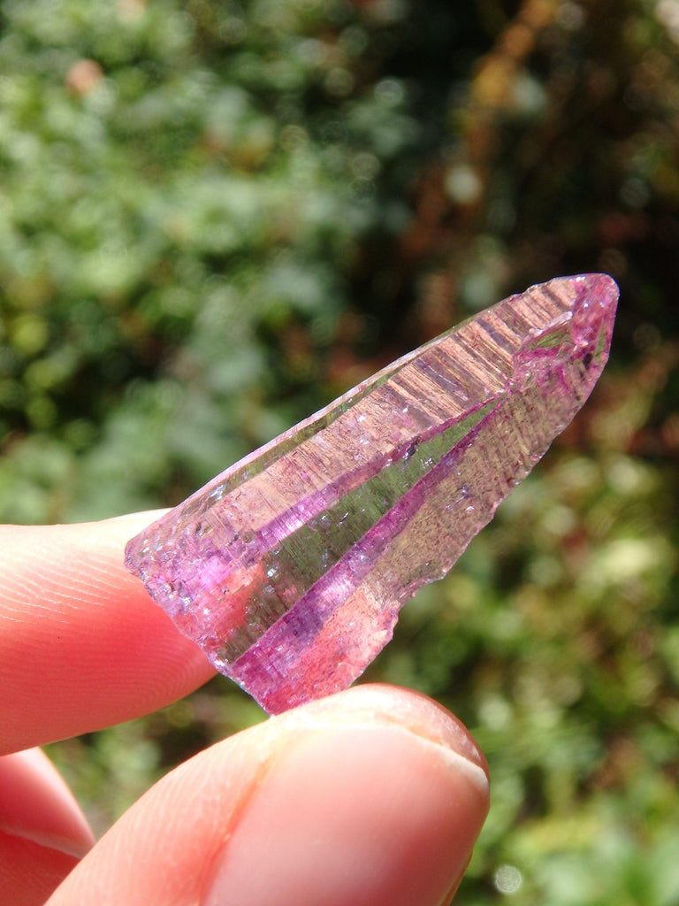 Adorable Dainty Rose Aura Colombian Lemurian Quartz Point 1 - Earth Family Crystals