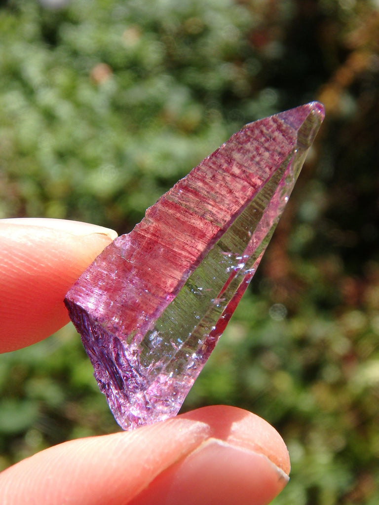 Adorable Dainty Rose Aura Colombian Lemurian Quartz Point 1 - Earth Family Crystals
