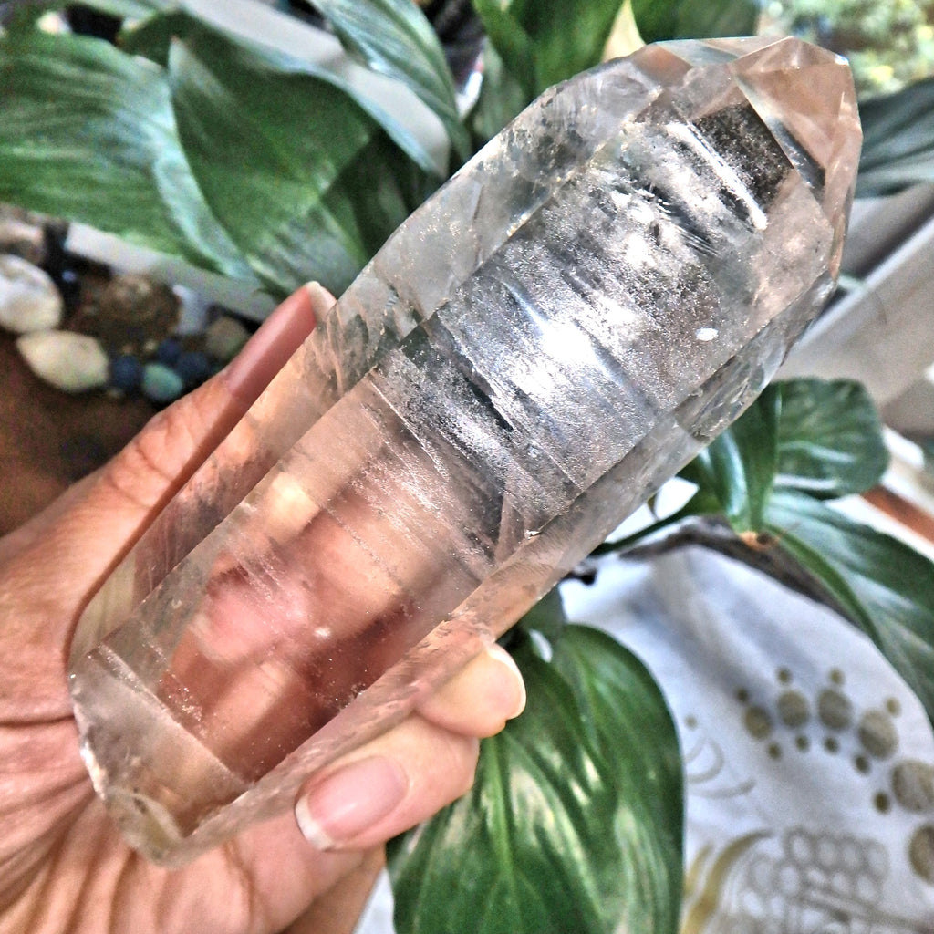 Gorgeous Etching & High Vibes Large Lemurian Quartz Point From Brazil 1 - Earth Family Crystals