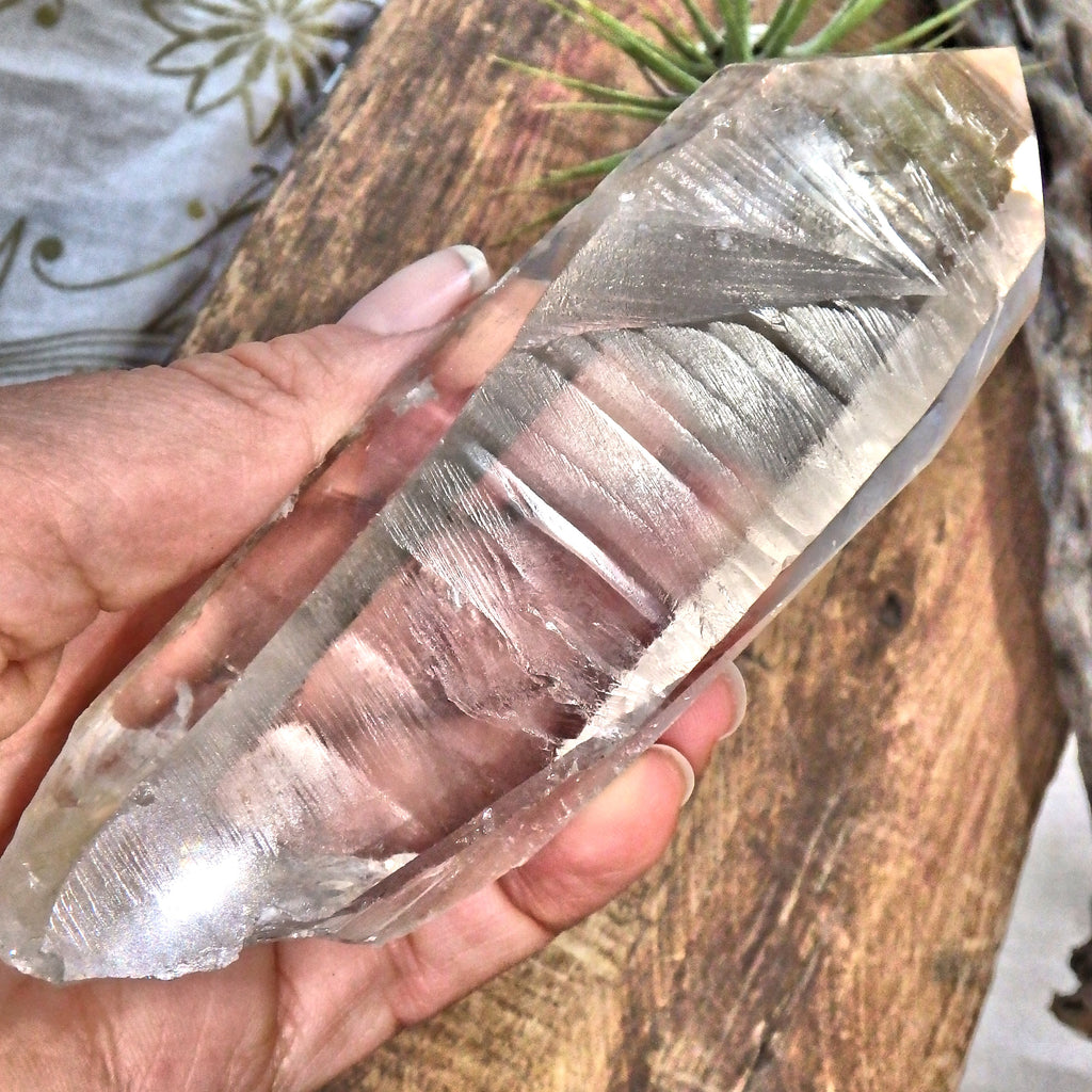 Gorgeous Etching & High Vibes Large Lemurian Quartz Point From Brazil 1 - Earth Family Crystals