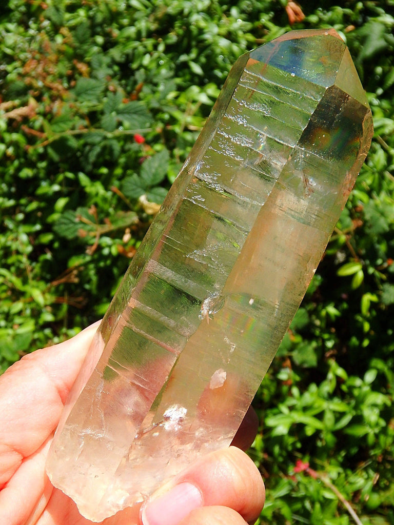 Golden Healer Large Lemurian Seed Quartz Point With Deep Etching From Brazil - Earth Family Crystals