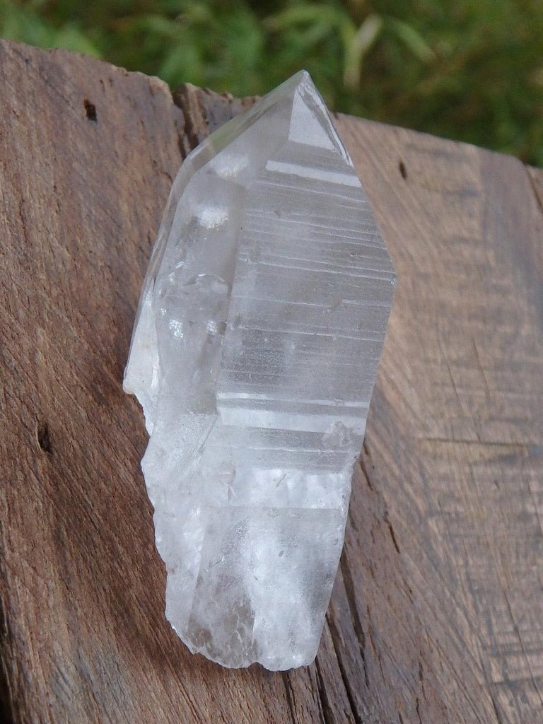 High Vibe Lemurian Seed Point From Brazil 2 - Earth Family Crystals