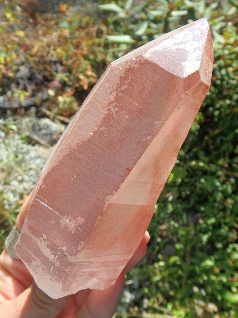 Unique Large Scarlet Temple Lemurian (Strawberry) Quartz Point From Brazil - Earth Family Crystals