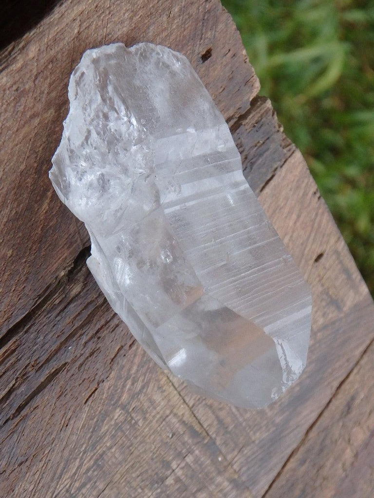 High Vibe Lemurian Seed Point From Brazil 2 - Earth Family Crystals