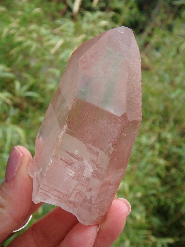 High Vibe Scarlet Temple Lemurian Quartz Point Specimen From Brazil - Earth Family Crystals