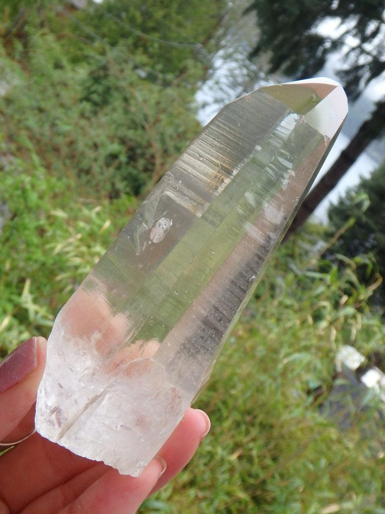 Extreme Brilliance! Golden Healer Lemurian Quartz Point With Record Keepers - Earth Family Crystals