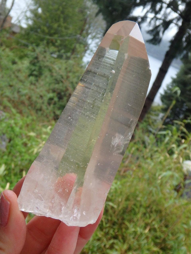 Extreme Brilliance! Golden Healer Lemurian Quartz Point With Record Keepers - Earth Family Crystals