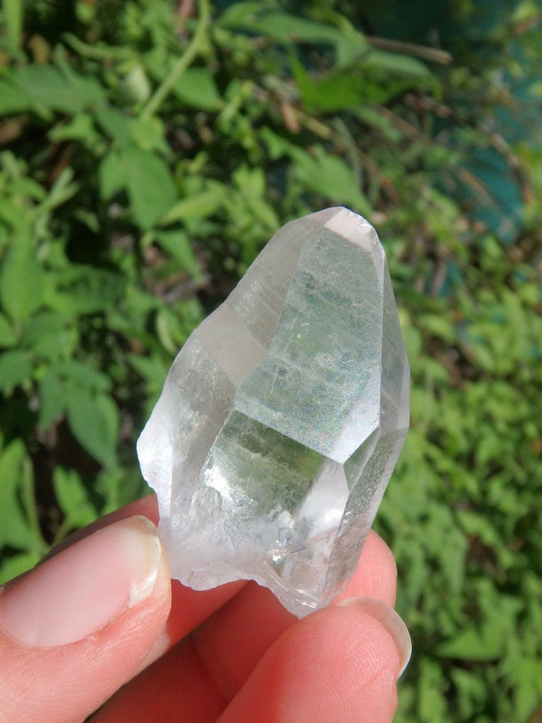 Hand Held Lemurian Seed Quartz Point 3 - Earth Family Crystals