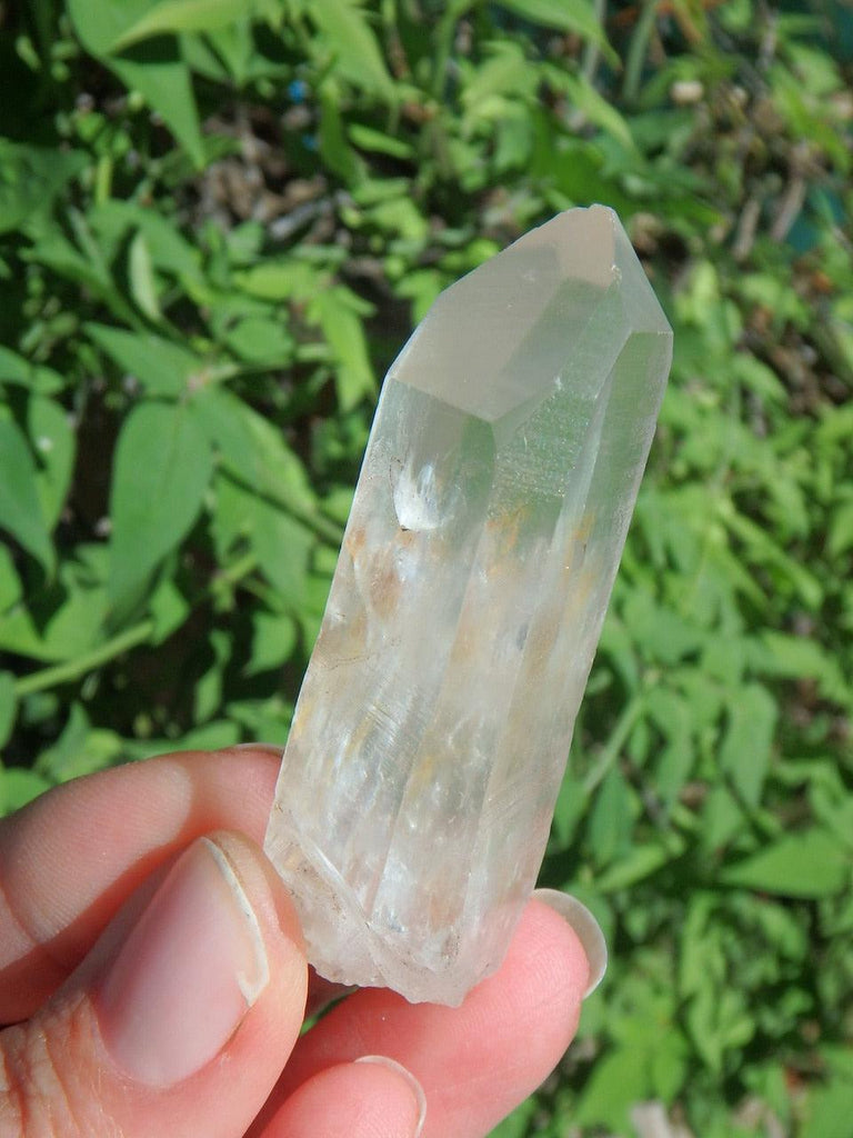 Hand Held Lemurian Seed Quartz Point 1 - Earth Family Crystals
