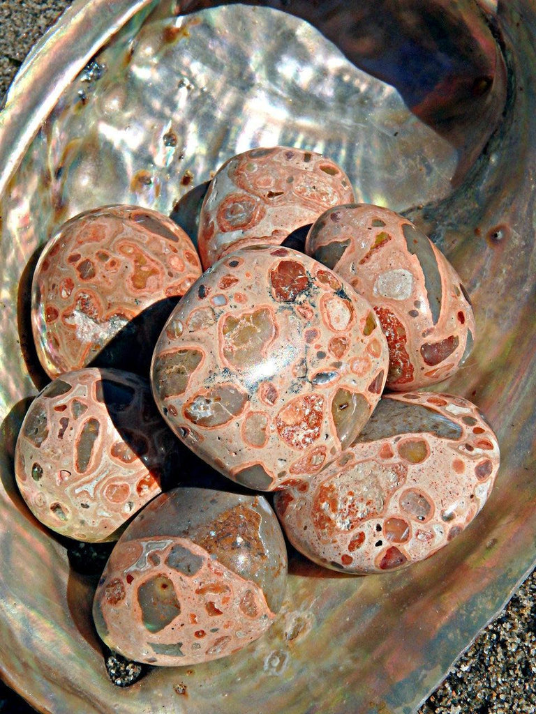 Set of 2~ Leopard Skin Jasper Tumbled Stones - Earth Family Crystals
