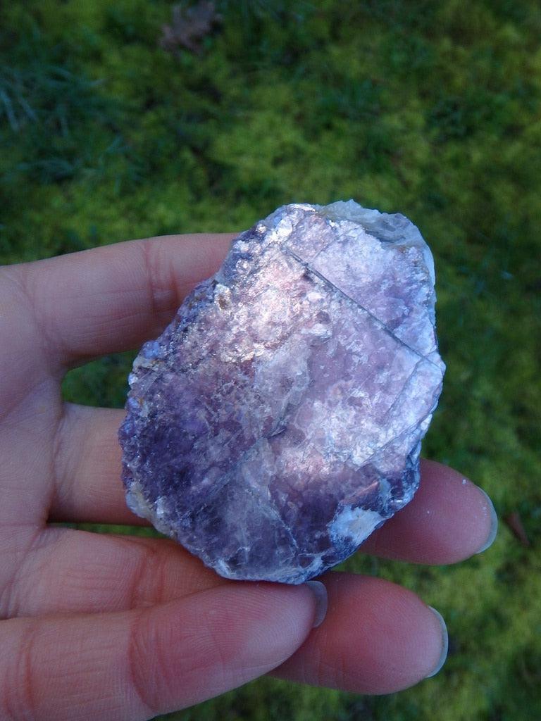 Lilac Lepidolite Hand held Specimen 1 - Earth Family Crystals