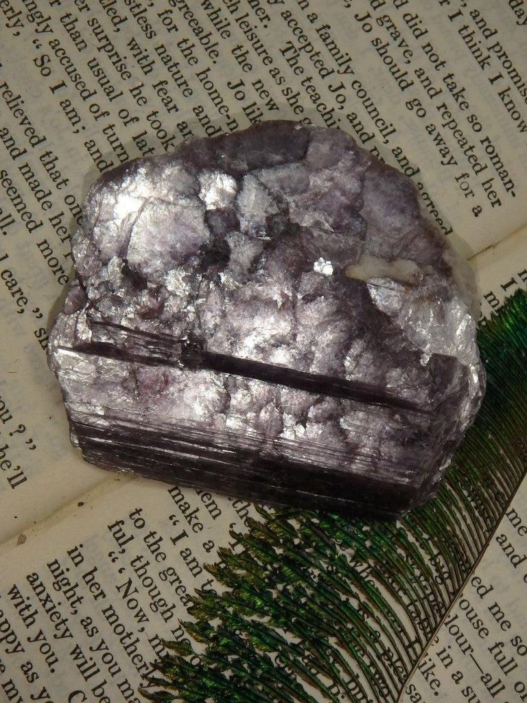 Shimmery Violet Purple Lepidolite Specimen (Perfect for Body Layouts) - Earth Family Crystals