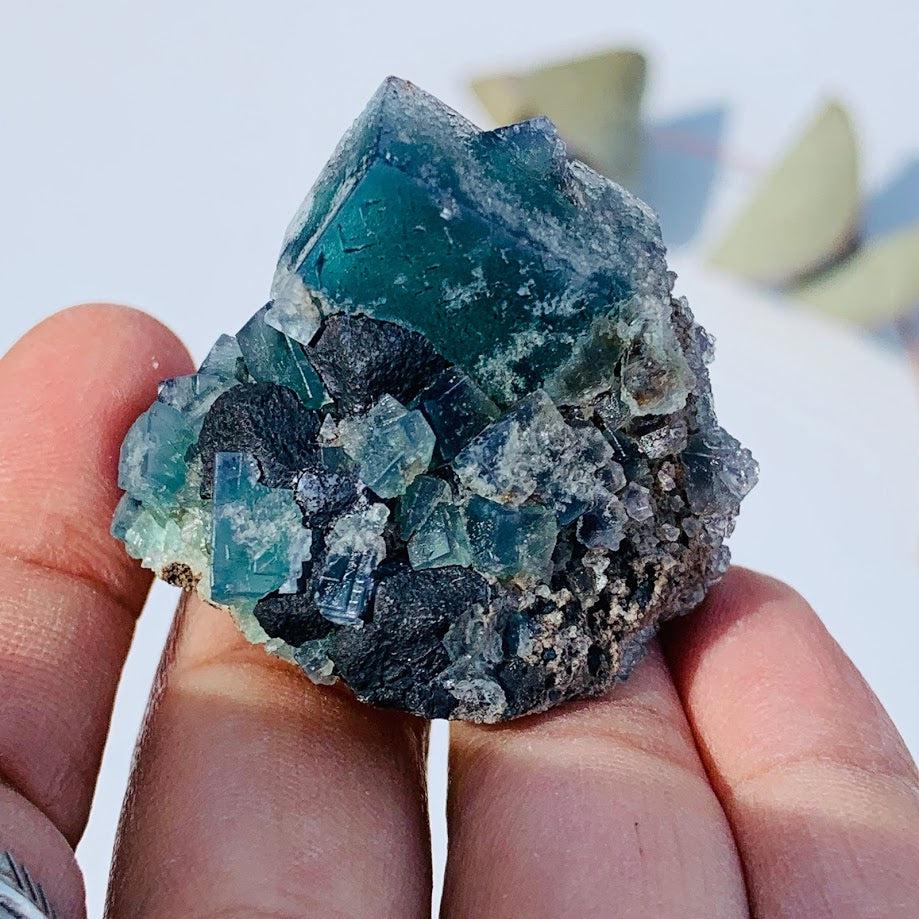Famous Locality~Rogerley Mine  Fluorite Cluster From Frosterley, England #3 - Earth Family Crystals