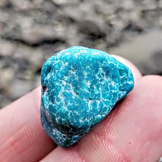 Rare Raw Vibrant Kingman Arizona Genuine Turquoise Specimen #1 - Earth Family Crystals