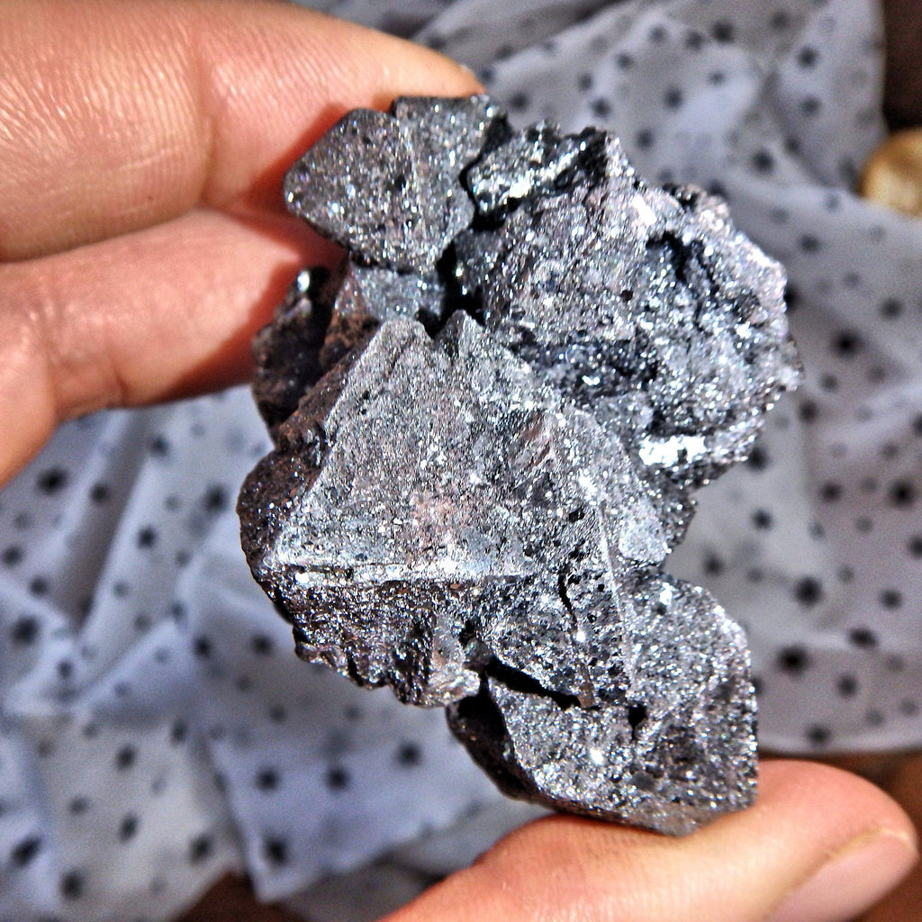 Rare Pseudomorph Formation! Intricate Magnetite Specimen (Formed After Hematite) - Earth Family Crystals