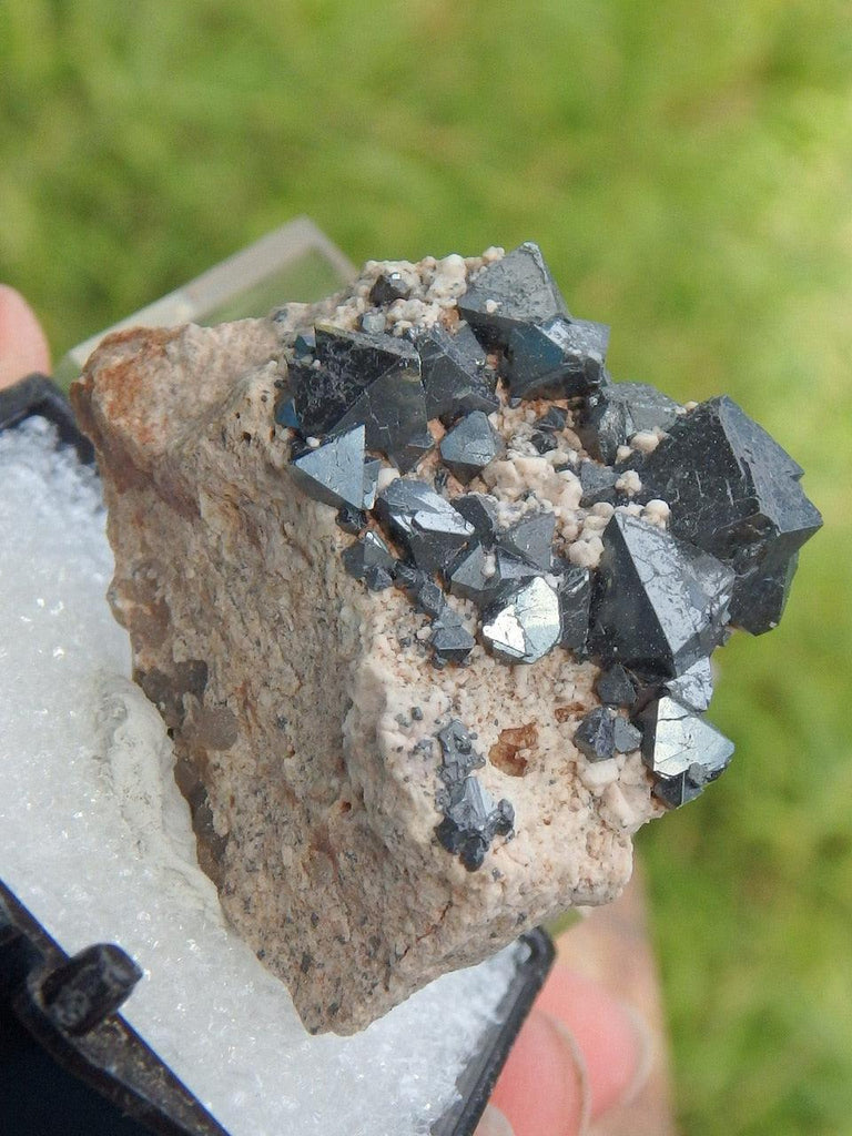 Magnetite in Collectors Box From Potosi, Bolivia - Earth Family Crystals