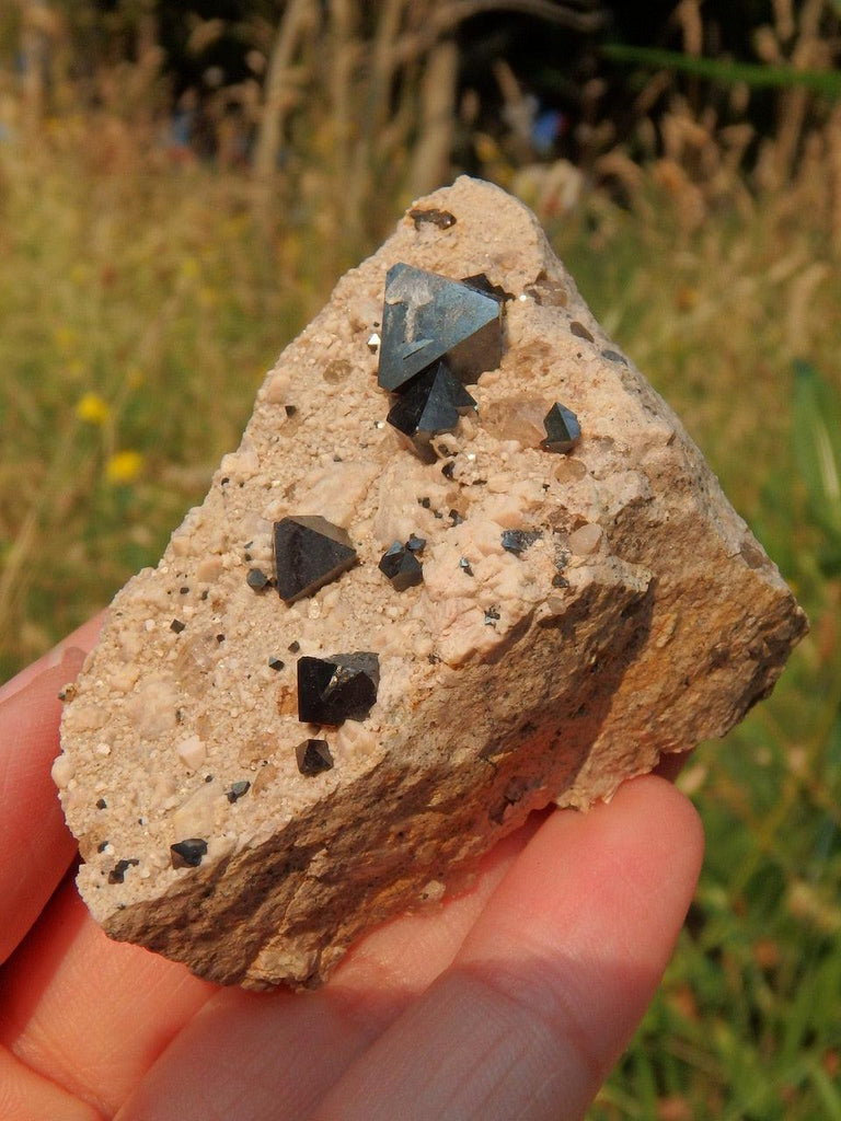 Unique Octahedron Black Magnetite on Matrix From Potosi, Bolivia - Earth Family Crystals