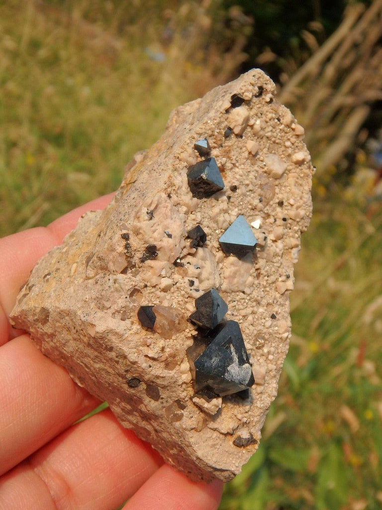 Unique Octahedron Black Magnetite on Matrix From Potosi, Bolivia - Earth Family Crystals
