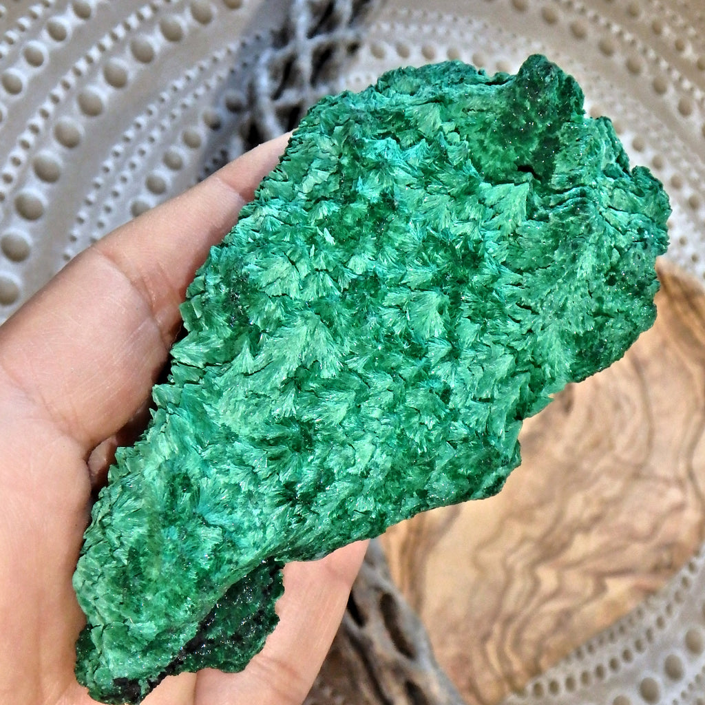 Secret Garden Fibrous Green Raw Malachite Display Specimen - Earth Family Crystals