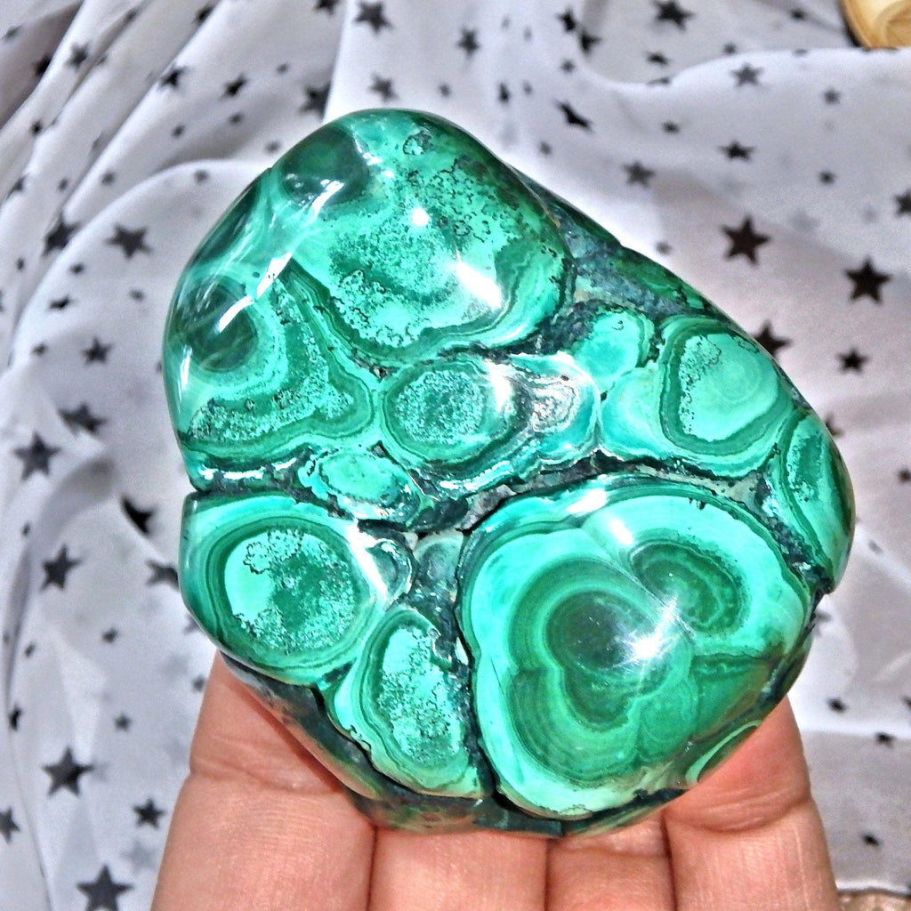 Hypnotic Green Swirls Malachite Shiny Specimen 8 - Earth Family Crystals