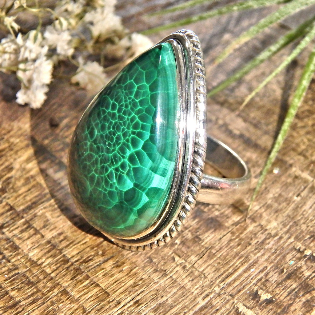 Delightful Green Patterns Malachite Sterling Silver Ring (Size 6) - Earth Family Crystals