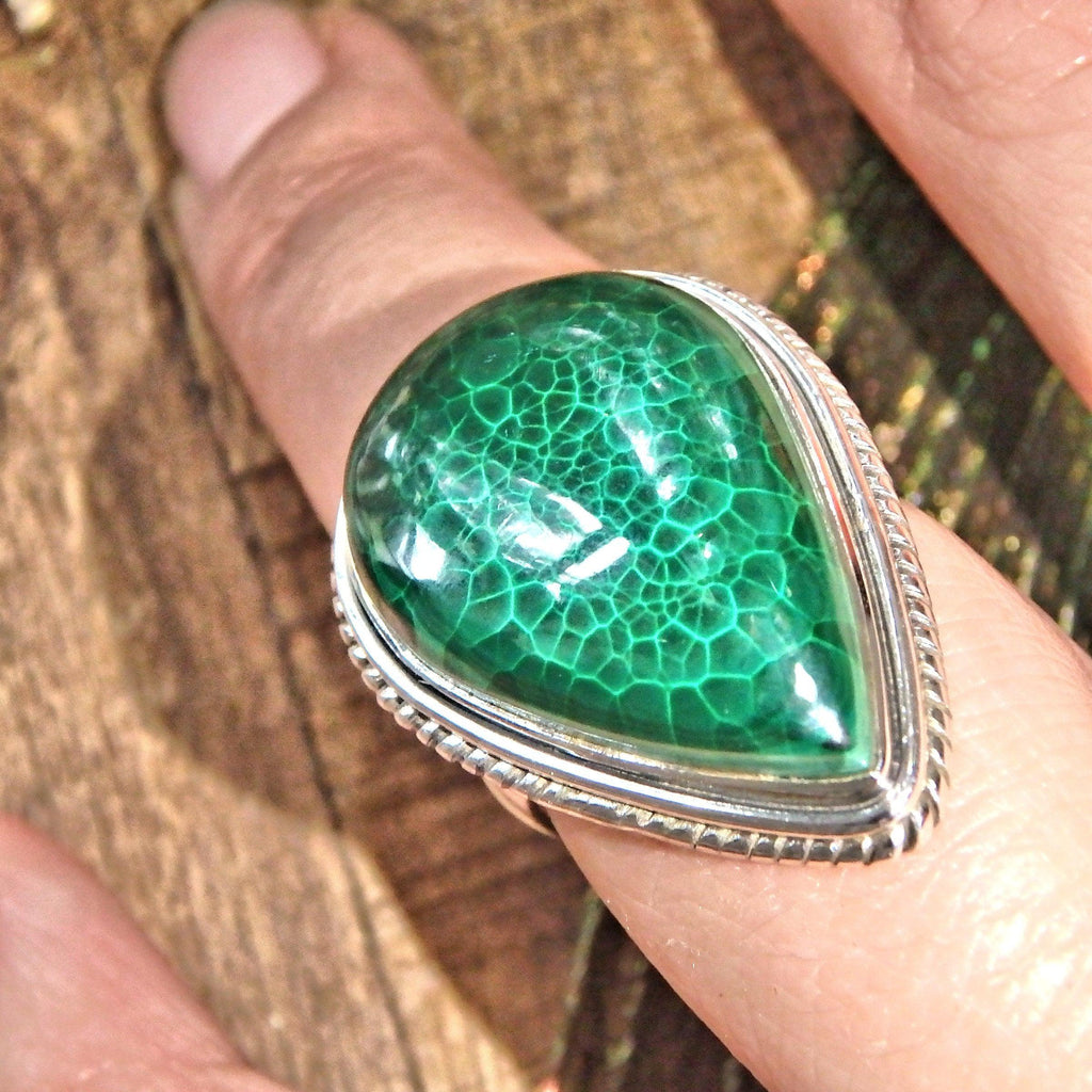 Delightful Green Patterns Malachite Sterling Silver Ring (Size 6) - Earth Family Crystals