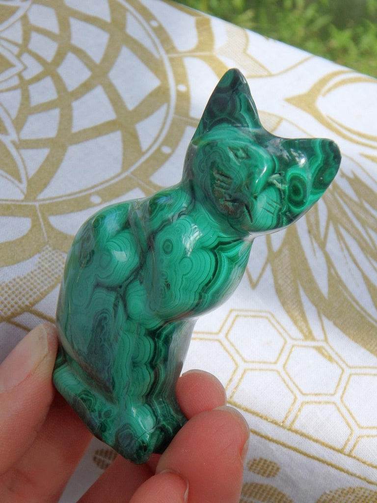 Lovely Patterns Malachite Green Cat Specimen - Earth Family Crystals