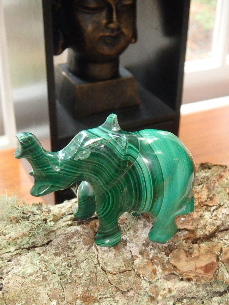 Cute Malachite Elephant Carving Specimen (REDUCED) - Earth Family Crystals