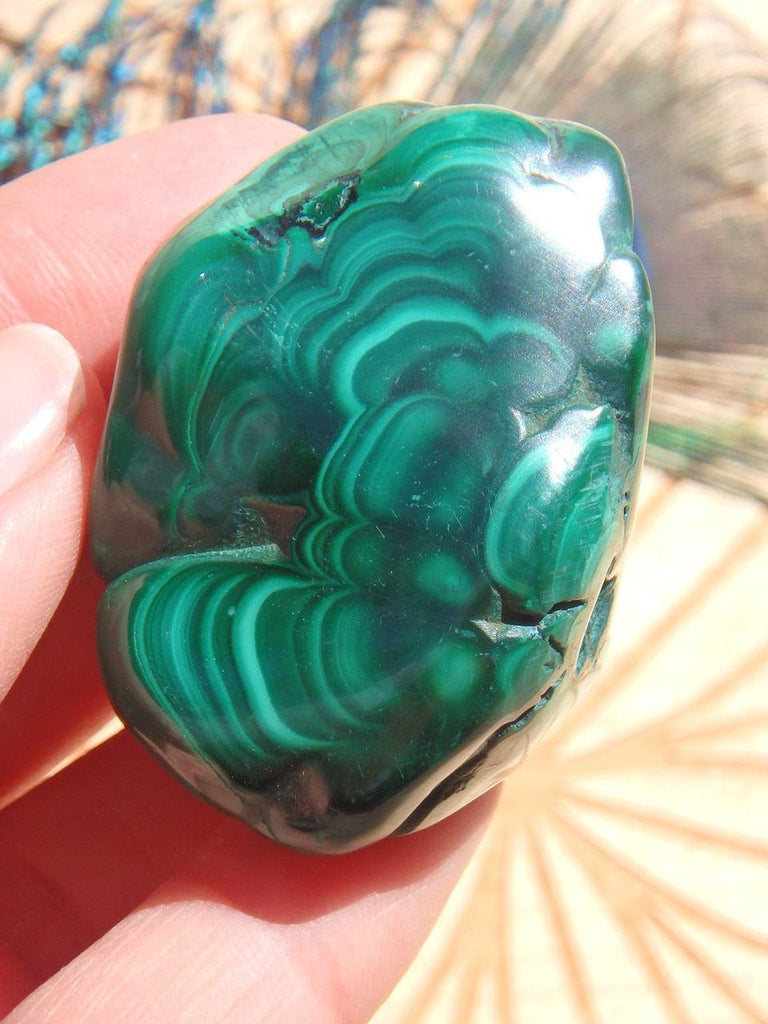 Lovely Color Contrast Malachite Hand Held Specimen - Earth Family Crystals