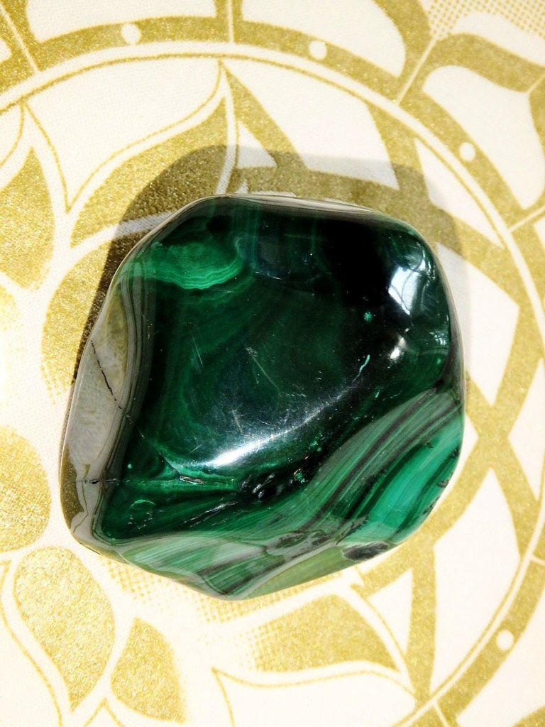 Deep Green Shiny Malachite Free Form Specimen - Earth Family Crystals