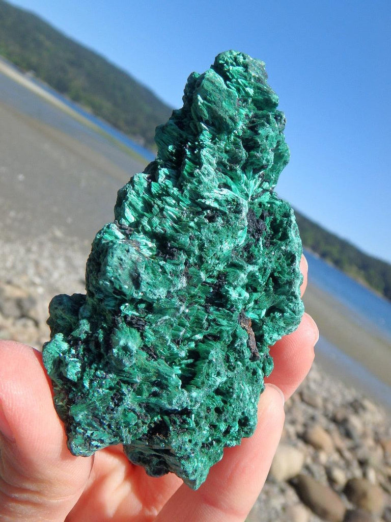 Silky Green Natural Malachite Collectors Specimen - Earth Family Crystals