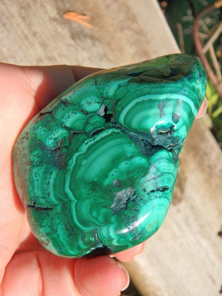 Extremely Shiny Mesmerizing Green Malachite Specimen - Earth Family Crystals