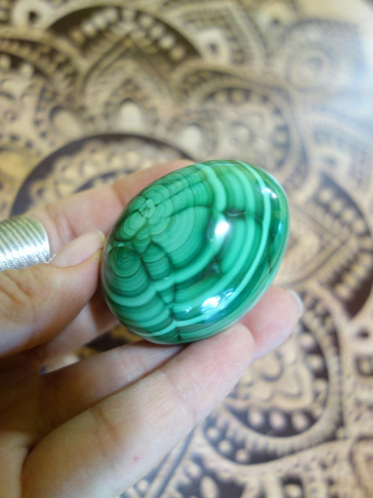 Shiny Flower Patterns & Swirls Malachite Egg Carving - Earth Family Crystals