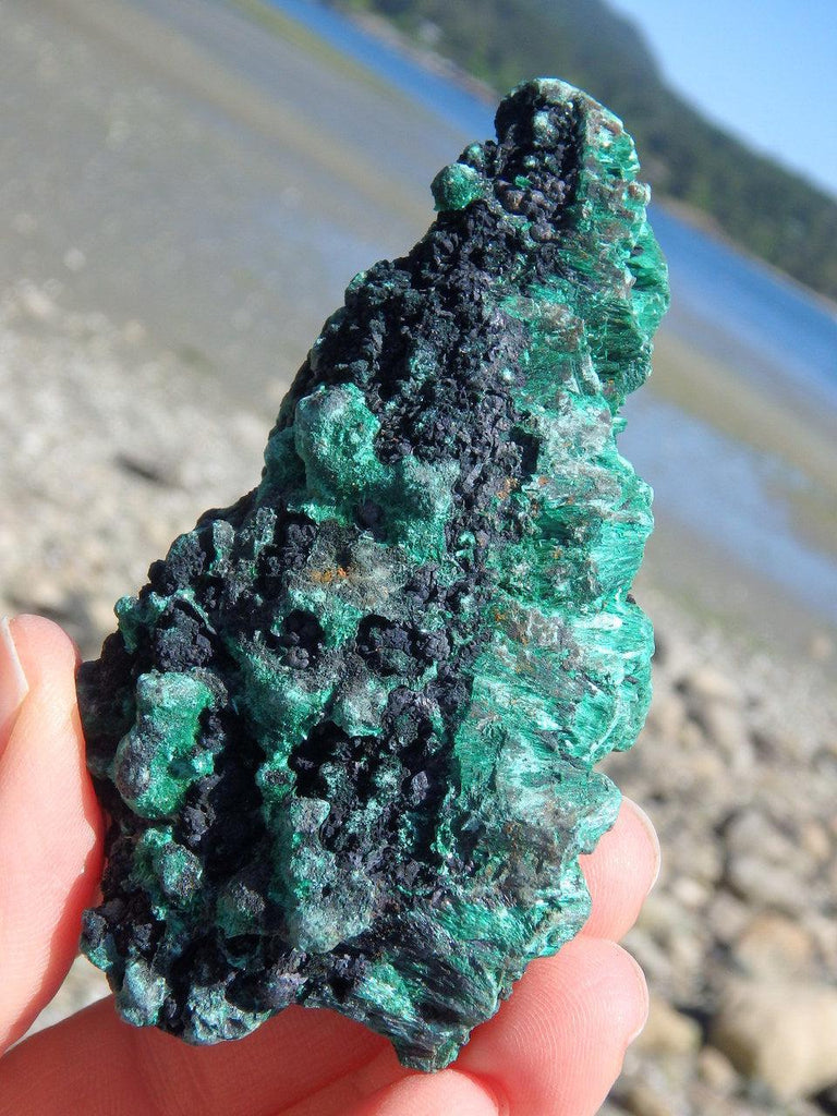 Silky Green Natural Malachite Collectors Specimen - Earth Family Crystals