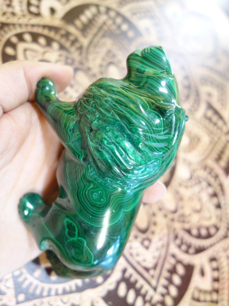 Breathtaking Intricate Large Lion Malachite Carving Specimen - Earth Family Crystals