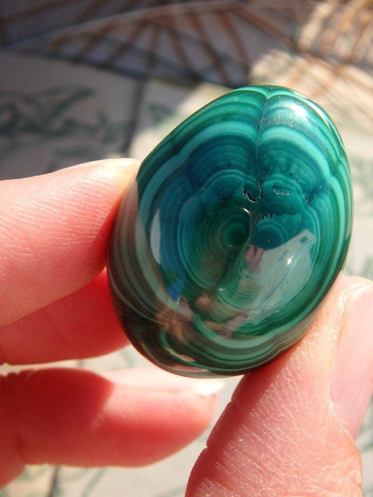 Adorable Mini Malachite Egg Carving - Earth Family Crystals