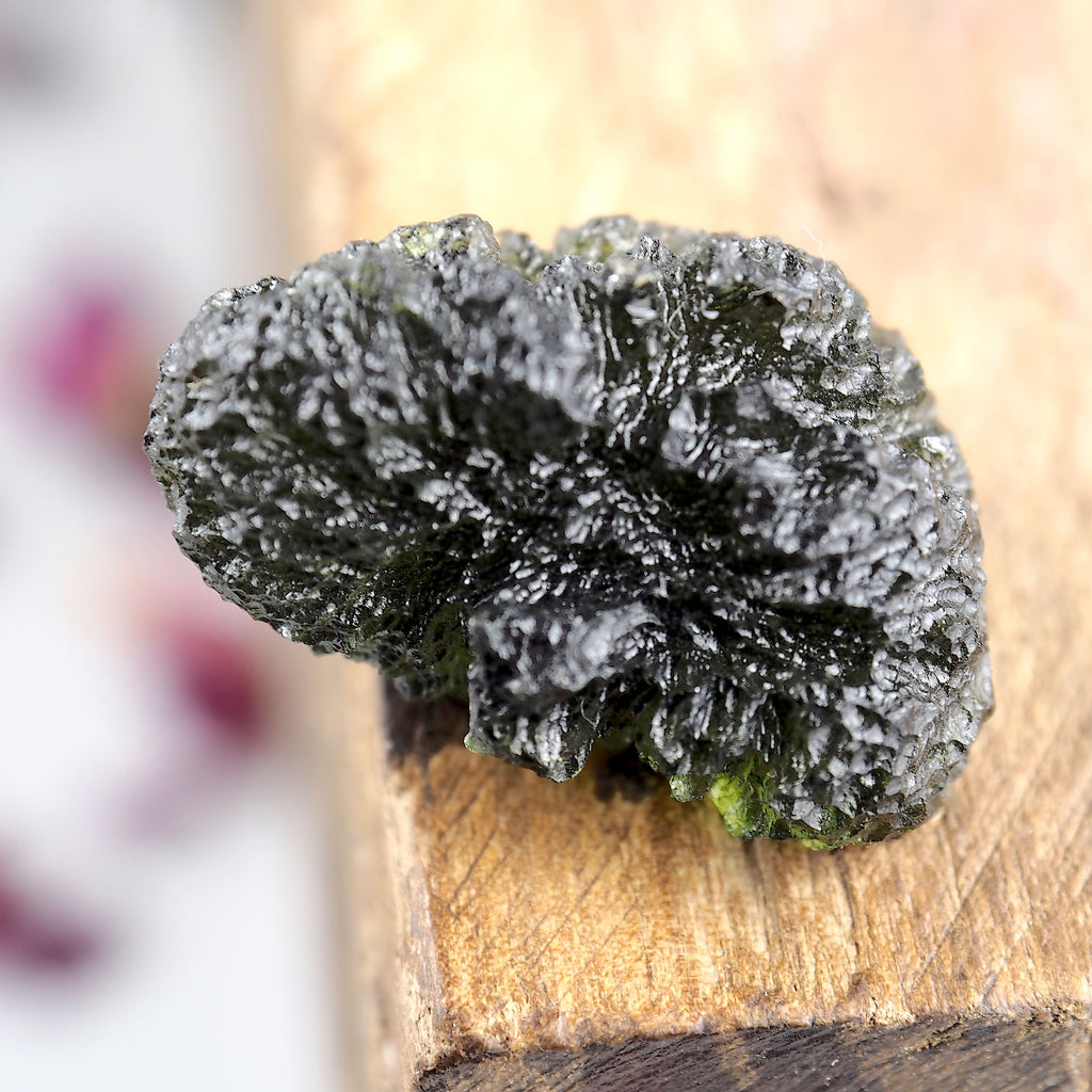 High Grade Genuine Moldavite Free Form Collectors Specimen From Czech Republic #1 - Earth Family Crystals