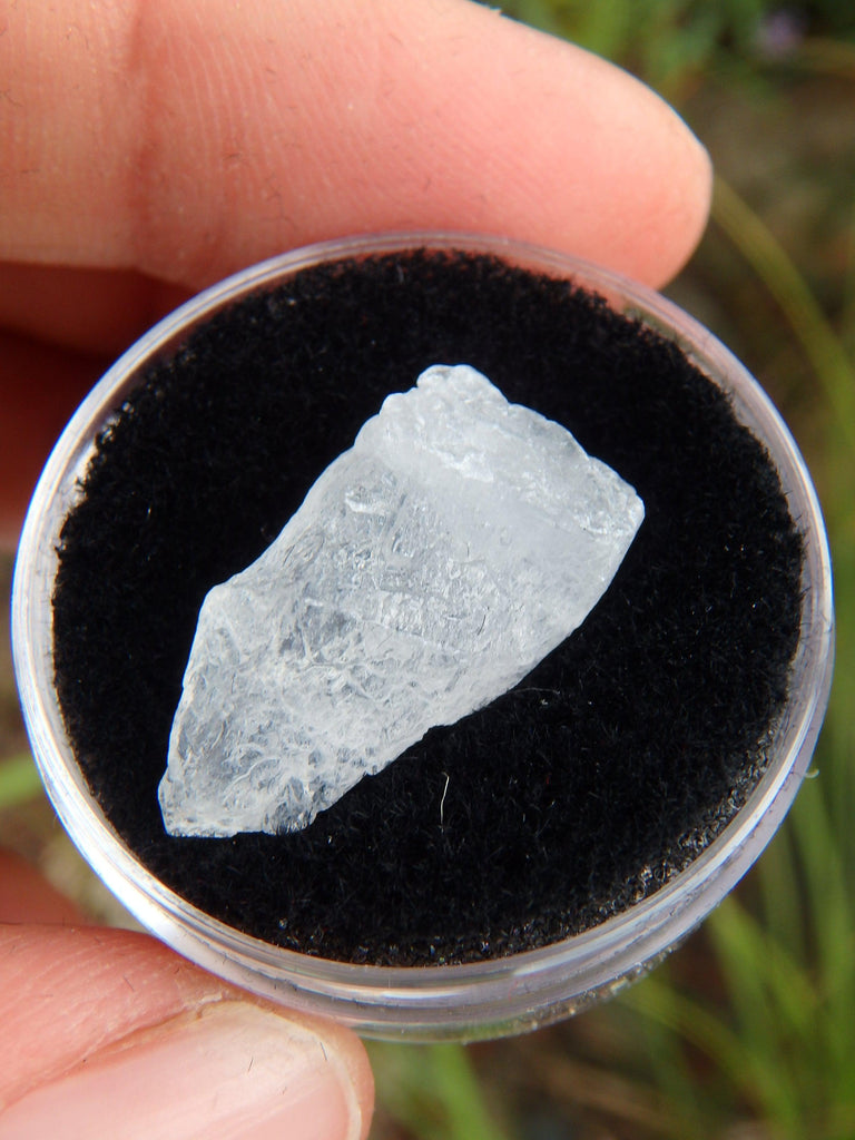 STUNNING ARIZONA ELESTIAL ANGEL CALCITE in Collectors Box #5 - Earth Family Crystals