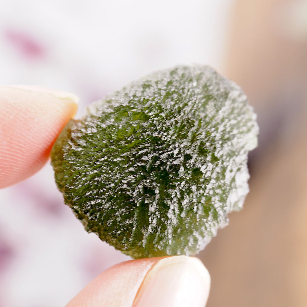 High Grade Genuine Moldavite Free Form Collectors Specimen From Czech Republic #2 - Earth Family Crystals