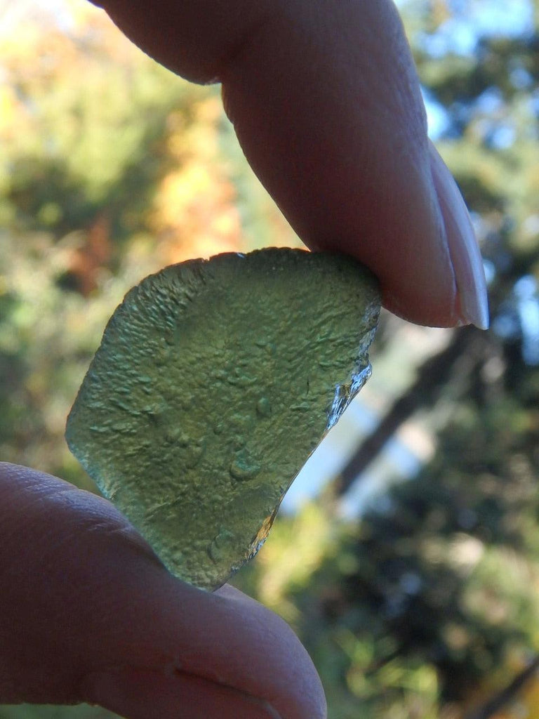 Gorgeous Natural Green Genuine Moldavite Specimen 8 - Earth Family Crystals