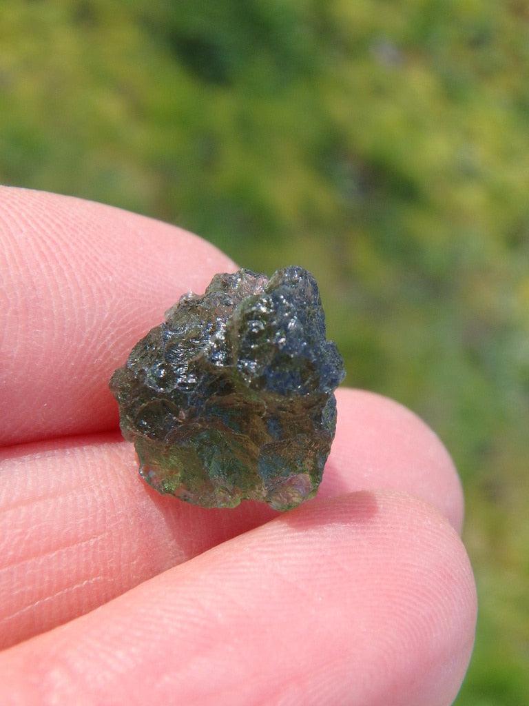 Gorgeous Genuine Green Moldavite Specimen 3 - Earth Family Crystals