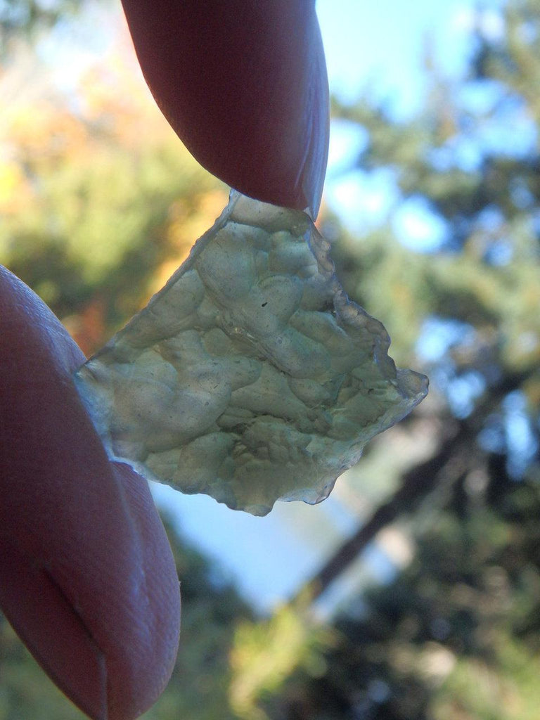 Gorgeous Genuine Green Genuine Moldavite Specimen - Earth Family Crystals