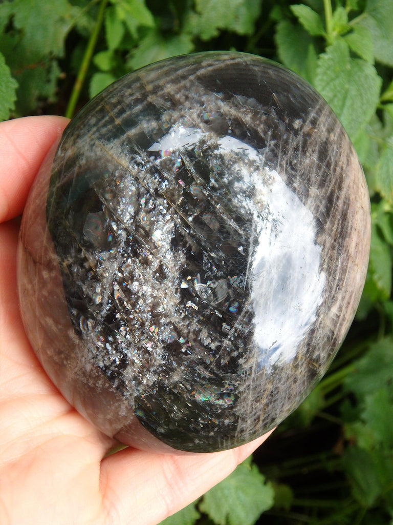 Mysterious Large Chunky Black Moonstone With Rainbow Shimmer From Madagascar - Earth Family Crystals