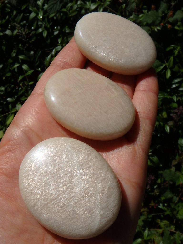 Creamy Beige Moonstone Polished Pocket Stone (1) - Earth Family Crystals