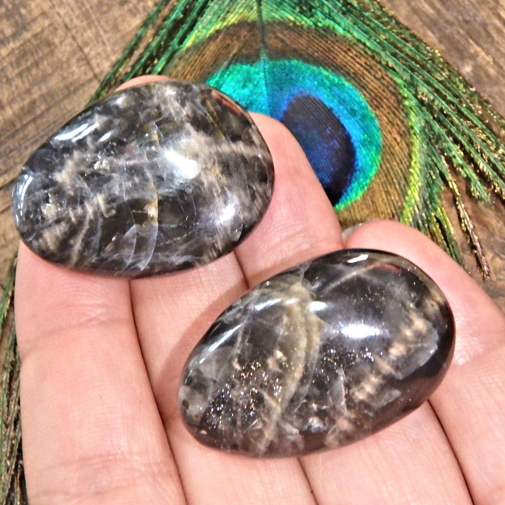Set of 2 Black Moonstone Hand Held Palm Stones - Earth Family Crystals