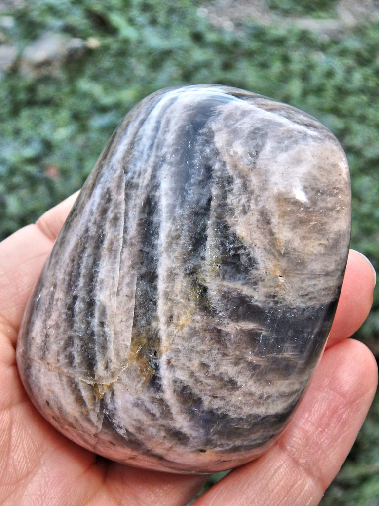 Creamy 2 Tone Black Moonstone Hand Held Specimen 1 - Earth Family Crystals