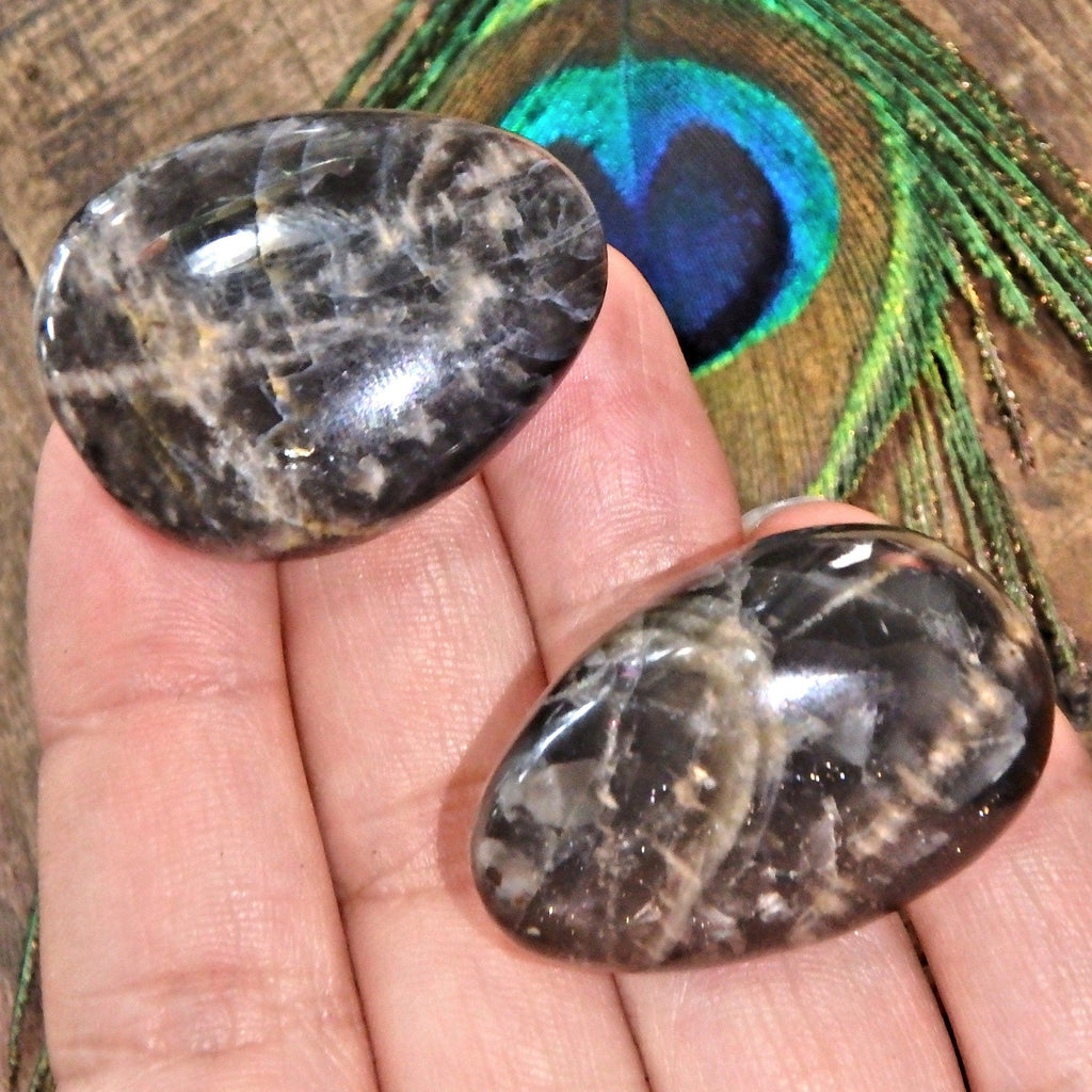 Set of 2 Black Moonstone Hand Held Palm Stones - Earth Family Crystals
