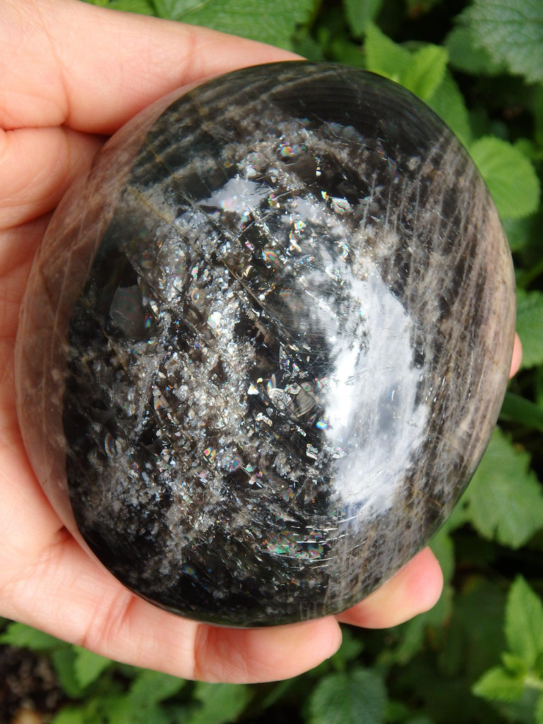 Mysterious Large Chunky Black Moonstone With Rainbow Shimmer From Madagascar - Earth Family Crystals