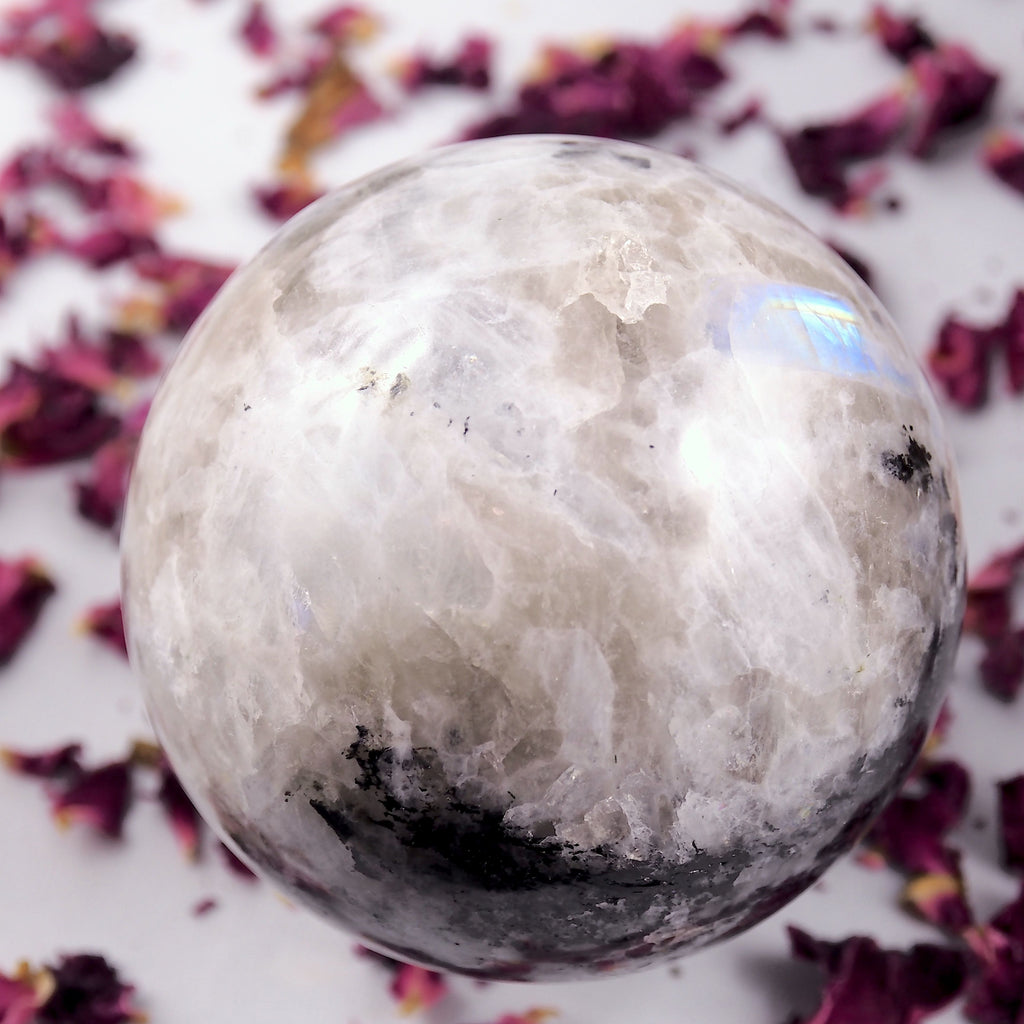 Powerful XL Rainbow Moonstone & Black Tourmaline Sphere Carving - Earth Family Crystals